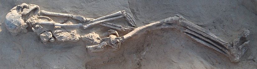 Hepimizin nihai sonu...