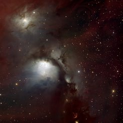 Reflection Nebulas in Orion