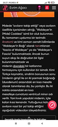 Eğer Waldeyer’in Mide caddesi yoksa neden tıp fakültelerinde sıvılar Waldeyer’in Mide caddesinden direkt duodenuma geçtiği anlatılıyor?