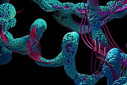 Yeni Çalışma, Amino Asitlerin Nasıl Evrimleştiğine Işık Tutuyor