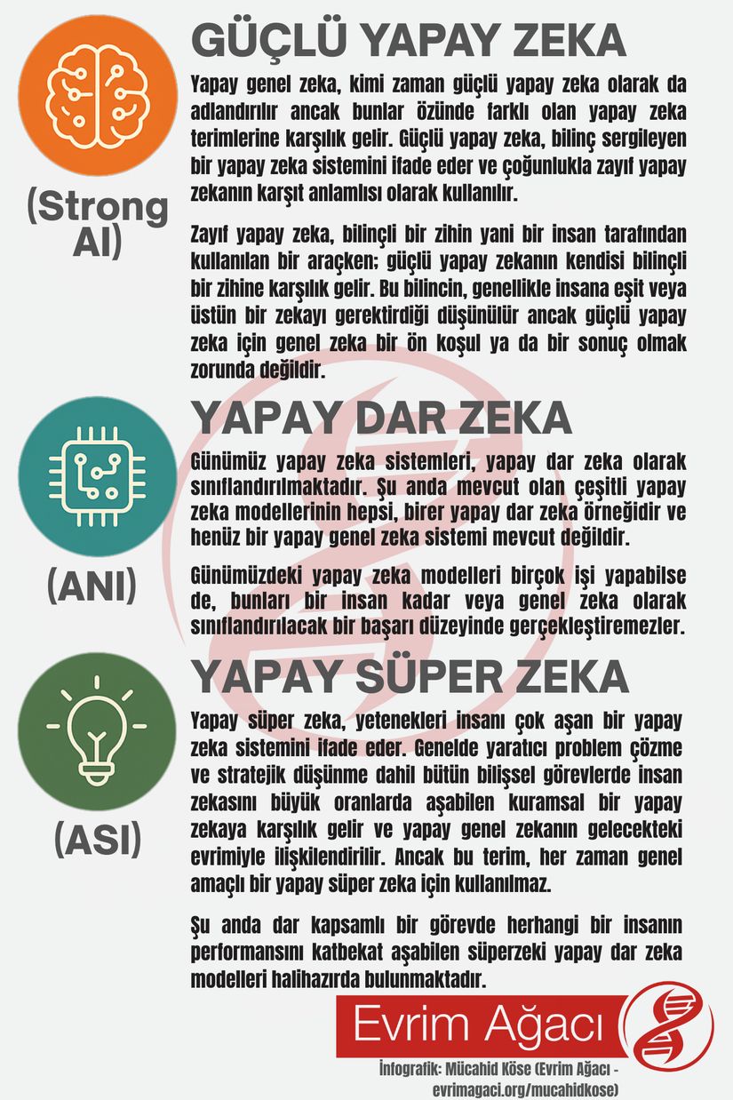 Yapay genel zeka teriminin dışında güçlü yapay zeka, yapay dar zeka ve yapay süper zeka terimlerinin ne anlama geldiğine dair bir infografik.