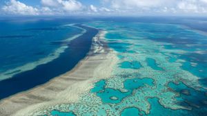 Alarming Coral Deaths Recorded At Great Barrier Reef