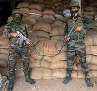 ASSAM RIFLES RECOVERED ILLEGAL ARECA NUTS WORTH RS 1.008 CRORES IN MIZORAM - NE India Broadcast