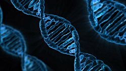 Kromozomları Halkalayan Moleküller, DNA’yı da Büküyor!