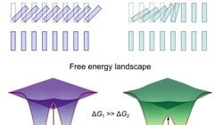 İki Boyutlu Bir Kristalde Evre Değişimlerini Tetikleyen Atomik 