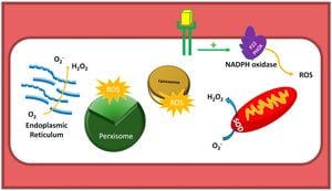 Study Reveals Fast Autoxidation Of Indoor Lipid Films