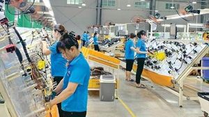 Vietnam's Flower Exports Surpass 100 Million USD