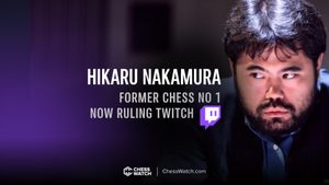 Hikaru Challenges Influencer's Criticism Of His Audience