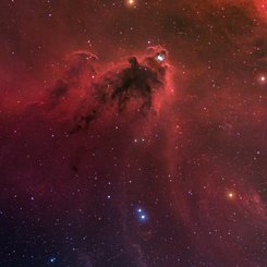  LDN 1622: Dark Nebula in Orion 