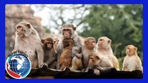 Monkeys Escape Research Facility Sparking Community Alarm