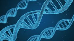 Organizma bazında genetik materyalimizin tamamını kullanıyor muyuz?