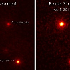 An Unexpected Flare from the Crab Nebula