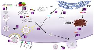 New Insights Into Chikungunya Virus's Link To Chronic Joint Disease