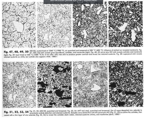 elektron mikroskoplarından çıkan görüntüler