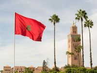 دراسة أمريكية: 