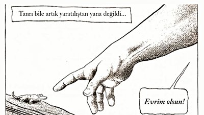 Nesil Momentumu: Evrimin Halk Arasındaki Kabulü Hızla Artıyor!