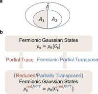 Entanglement Rényi negativity of interacting fermions from quantum Monte Carlo simulations - Nature Communications