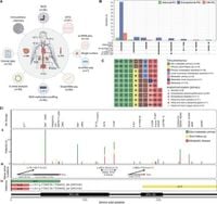 Multi-omic analysis of SDHB-deficient pheochromocytomas and paragangliomas identifies metastasis and treatment-related molecular profiles - Nature Communications