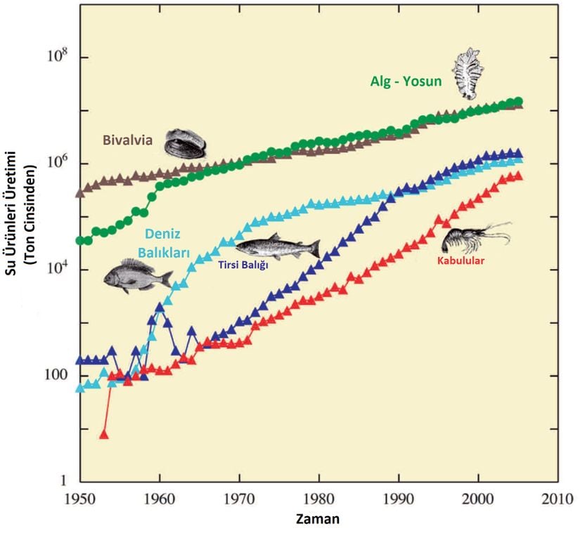 Küresel yıllık deniz ürünleri, çift kabuklu hayvanlar, kabuklular, algler ve diadromus ve deniz balıkları üretimi