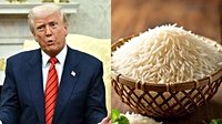 India denies U.S. ‘rice dumping’ allegations, defends premium Basmati exports—Here’s what it  means for our trade relations