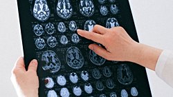 Davranışların Ne Kadar Bilinçli?