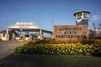 Louisiana ICE detainees on hunger strike over ‘inhumane conditions’
