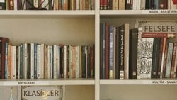 Toplumsal Hafıza Akımı, İntihal Ve Akademi