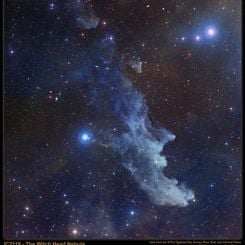 IC 2118: The Witch Head Nebula