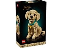 LEGO Icons Golden Retriever Puppy (11384) Officially Announced