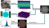 Physics-based forward model for near-real-time quantitative imaging of spent nuclear fuel assemblies - Scientific Reports