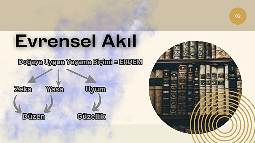 Herşeyin İçindeki Akıl