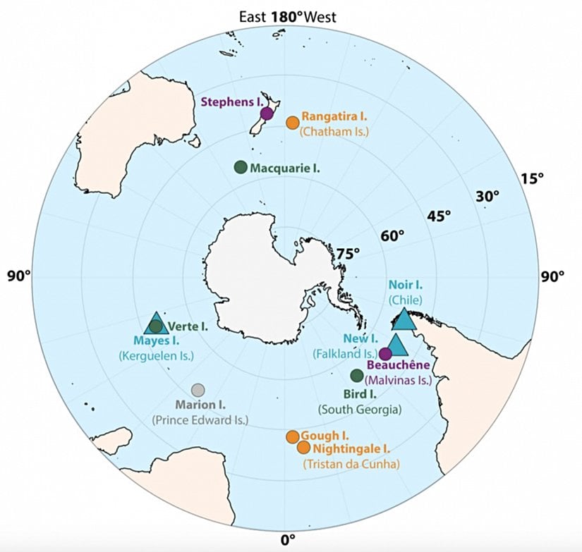 Pachyptila (Procellariiformes) üreme kolonileri bu çalışmada örneklenmiştir. [Geniş gagalı prionlar (Pachyptila vittata): turuncu daireler. Salvin priyonları (Pachyptila salvini): gri daireler. Antarktika priyonları (Pachyptila desolata): yeşil daireler. İnce gagalı priyonlar (Pachyptila belcheri): mavi daireler. Peri priyonları (Pachyptila turtur): mor daireler.] Daireler koloni başına ortalamaları belirtir ve hata çubukları standart sapmalara karşılık gelir. Yalnızca canlı bireylerden veya yeni cesetlerden gelen veriler dahil edilmiştir.