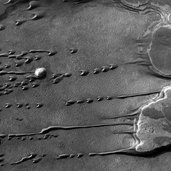 Flowing Barchan Sand Dunes on Mars