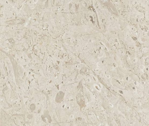 Sedimanter kökenli mermere desen oluşturan fosiller