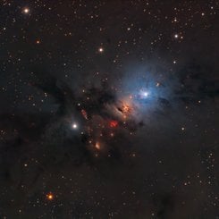  NGC 1333: Stellar Nursery in Perseus 