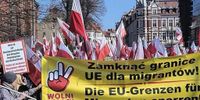 Prowokacja na manifestacji w Zgorzelcu! ″Kim jesteście? Zdejmijcie te maski, tu są polscy patrioci″ [WIDEO] | Niezalezna.pl