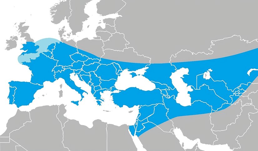 Neandartel popülasyonunun dağılım coğrafyası