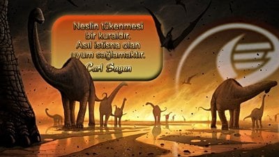 Evrim Tarihi, Türeyişler Tarihinden Ziyade Yok Oluşları Tarihidir!