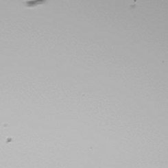 Help Search for Interstellar Dust