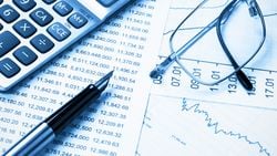 What is an Income Statement (Profit and Loss Statement)?