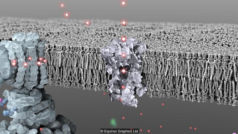 Hücre mekaniği inanılmaz derecede girifttir.