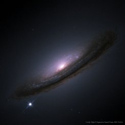  Supernova 1994D and the Unexpected Universe 