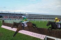 Cheltenham Gold Cup winner ruled out of Grand National