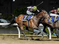 【名古屋グランプリ注目馬】ゴールデンウィークを締めくくるダートグレード重賞 中央・地方から12頭集結（netkeiba） - Yahoo!ニュース