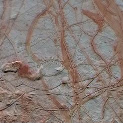  The Surface of Europa 