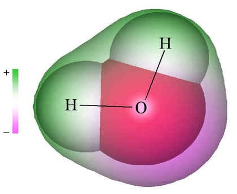 Görüldüğü gibi oksijen ve hidrojen atomları doğrusal bir çizgi gibi, yan yana gelerek suyu oluşturmazlar. Daha ziyade bir "V" harfi şeklindedirler. Bunun sebebi, oksijen atomunun elektronları daha kuvvetli çekmesidir. Tıpkı uzun bir ipi ortasından tutarak havaya kaldırmaya çalıştığınızda uçları aşağıda kalacağı için bir "V" harfine benzeyeceği gibi, su molekülleri de bu görünümdedir. Ayrıca yukarıdaki görselde pembe rengin bulunduğu taraf en yüksek negativiteye, yeşil rengin bulunduğu taraf ise en yüksek pozitif kutba (en düşük negativiteye) sahiptir. Bu nedenle su, polar (kutuplu) bir moleküldür.