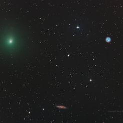  The Comet, the Owl, and the Galaxy 