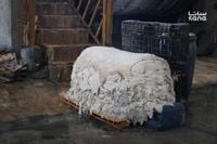 صناعة الدباغة في سوريا… فرص اقتصادية مهدورة بين تراجع التصدير وارتفاع التكاليف - S A N A – الوكالة العربية السورية للأنباء