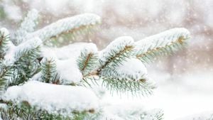 Green Bay Area Sees Early Snowfall As Temperatures Shift