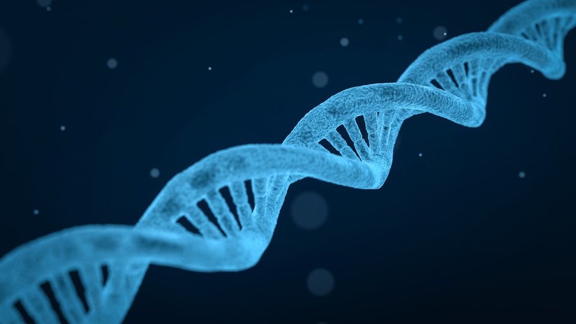 Genomik Gardiyan (Koruyucu Melek): p53 Geni ve Proteini Nedir, Genlerimizi Nasıl Korur?